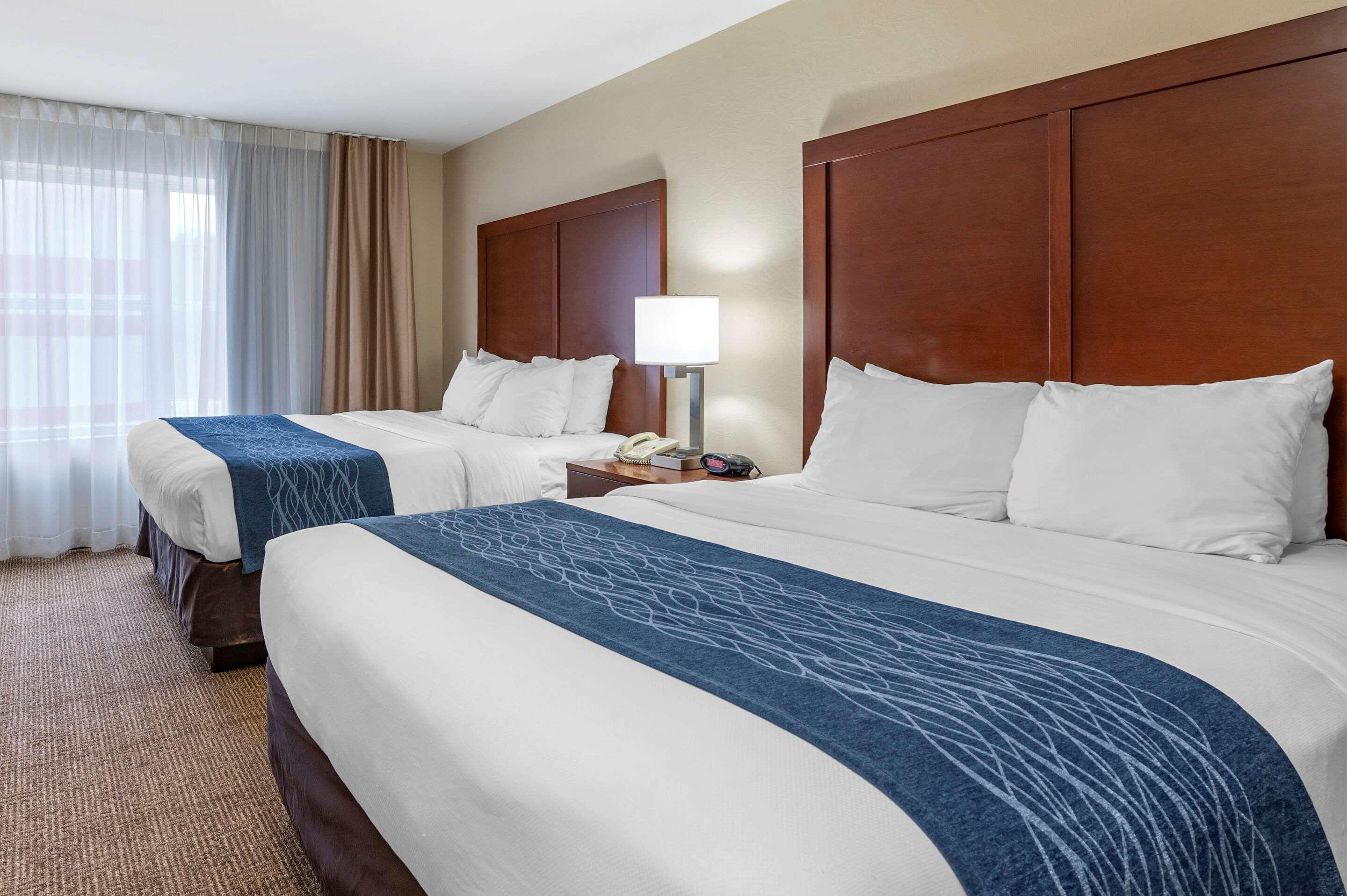 Comfort Inn & Suites Northern Kentucky Wilder Luaran gambar