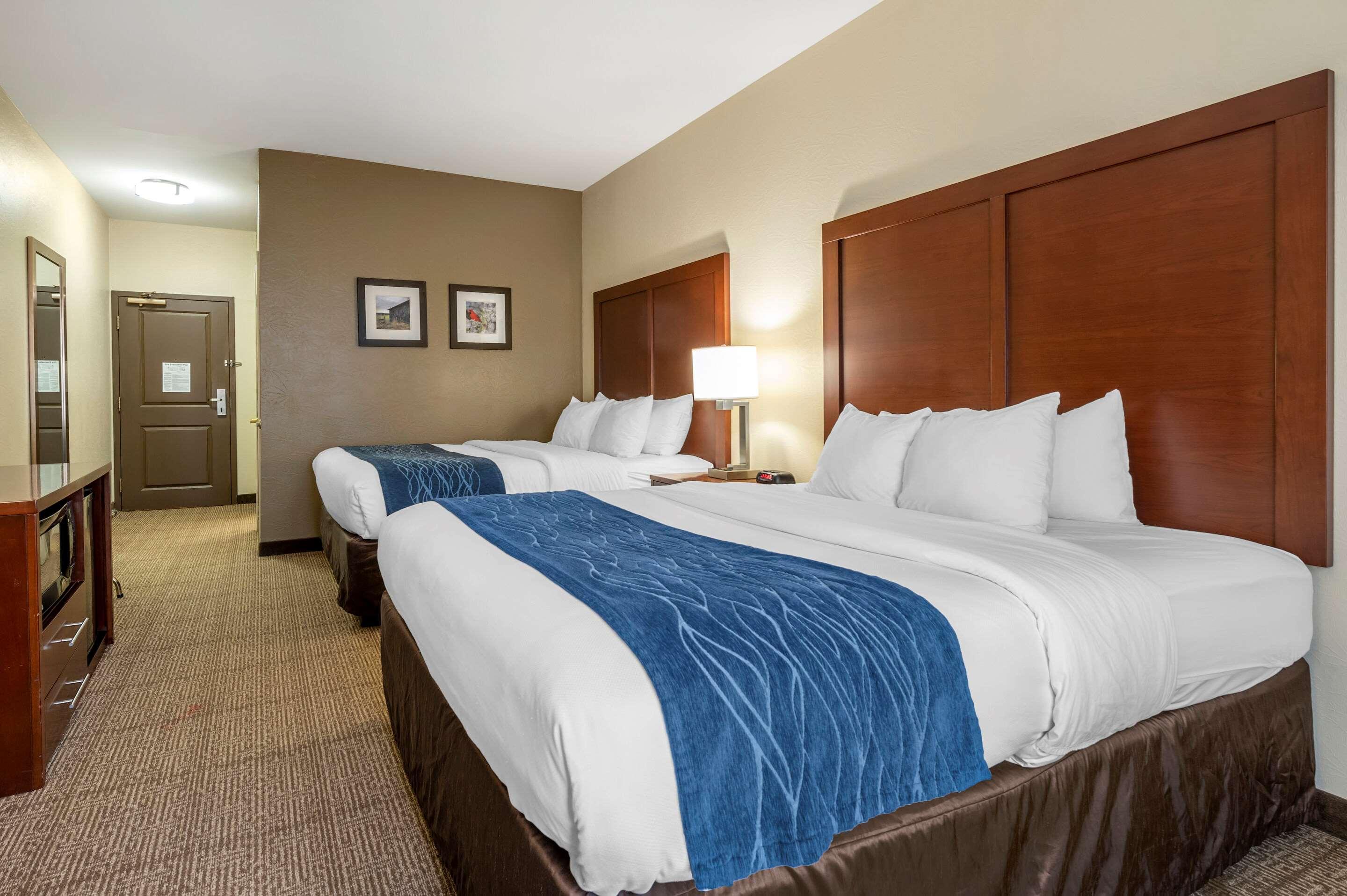 Comfort Inn & Suites Northern Kentucky Wilder Luaran gambar